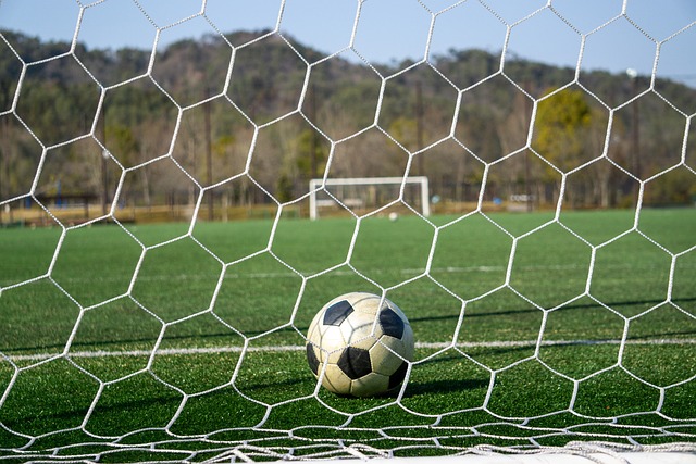 來自歐洲媒 來自歐洲媒