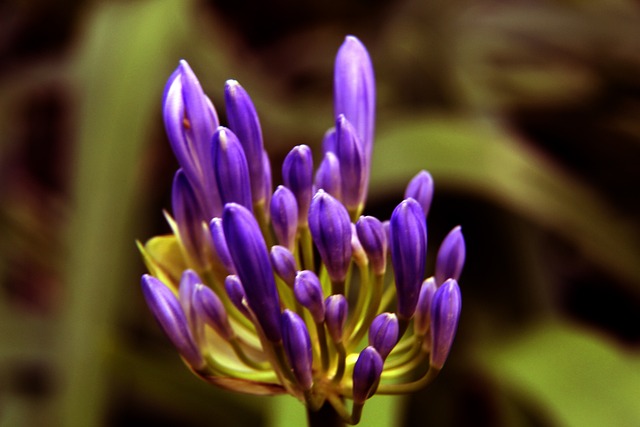 拉松也曾因 拉松也曾因