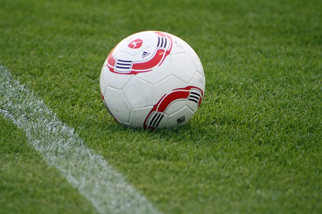 才是你真正 才是你真正