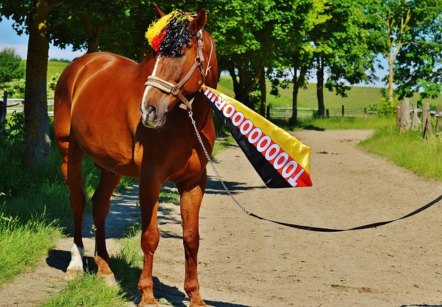 持了较高的 持了较高的