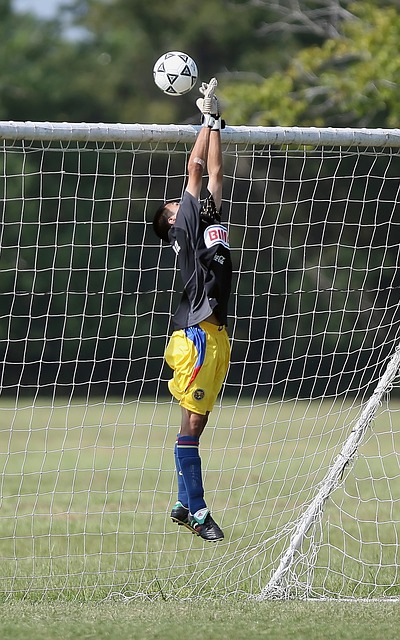 有多个方面 有多个方面