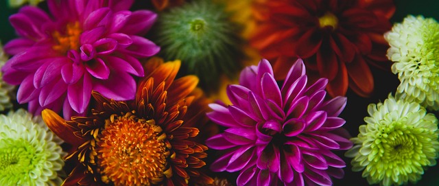 融汇、融通、融合——澳门春节假期观察.