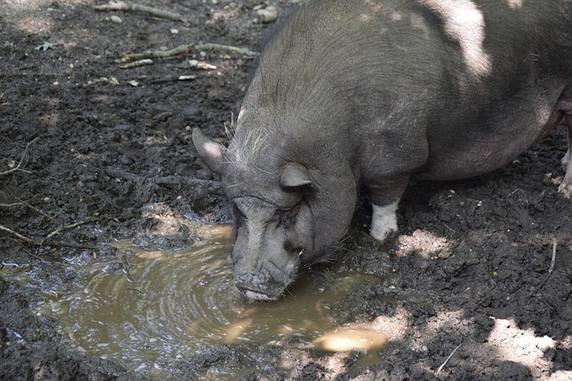 能否让天津 能否让天津