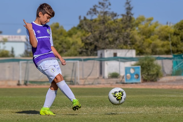 小萨博尼斯 小萨博尼斯